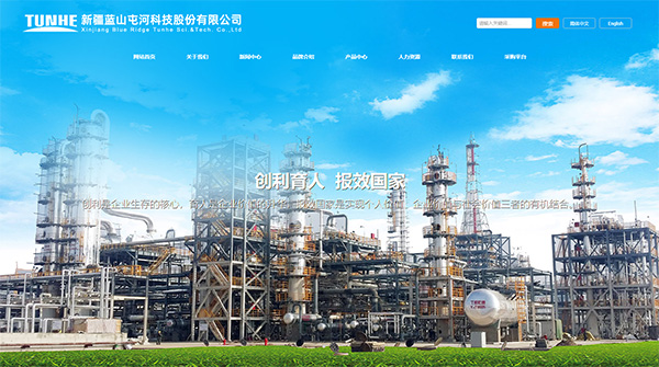 新疆藍(lán)山屯河科技股份有限公司官網(wǎng)全新改版上線,助力企業(yè)數(shù)字化升級(jí)